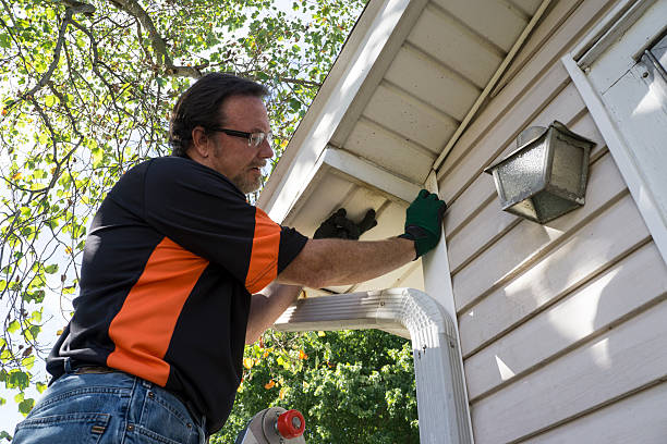 Siding Installation